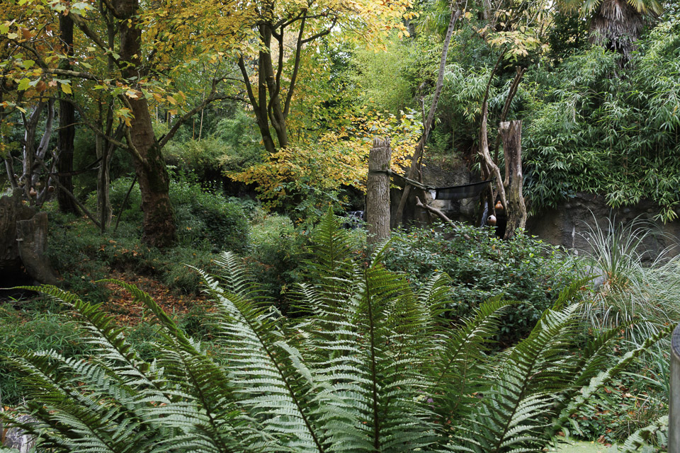 Woodland Park Zoo — photo 23